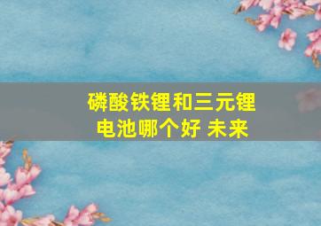 磷酸铁锂和三元锂电池哪个好 未来